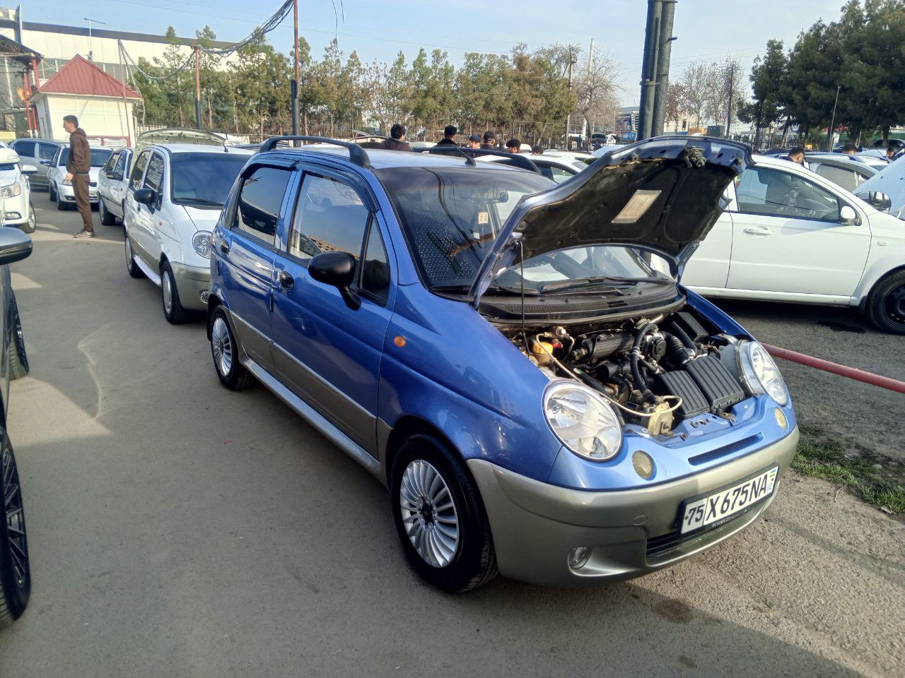 Matiz