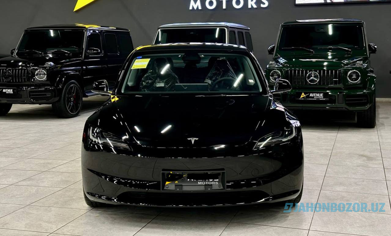 Tesla model 3 Highland Dual mator