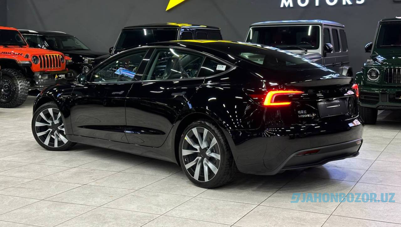 Tesla model 3 Highland Dual mator